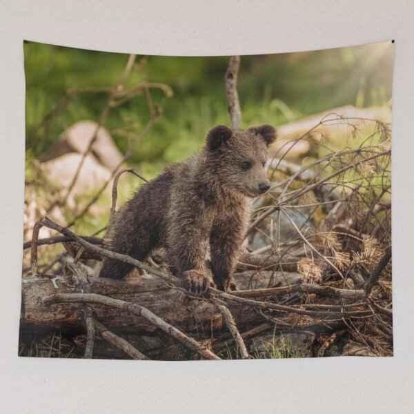 Item preview, Cute Baby Bear in Woods designed and sold by mwagie.