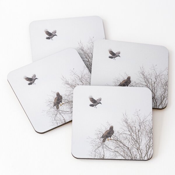 Item preview, Eagle and crow designed and sold by PhotoLux.