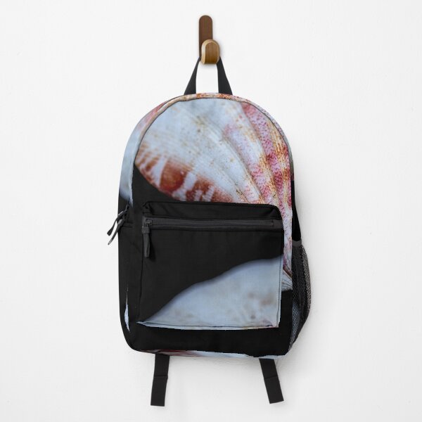 Item preview, Pink scallop shell designed and sold by Roger Porter Photography.