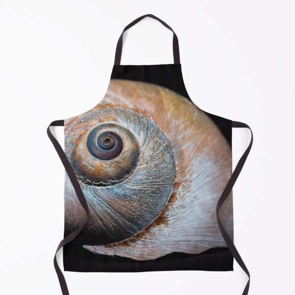 Item preview, Moon snail sea shell 2863 designed and sold by Roger Porter Photography.