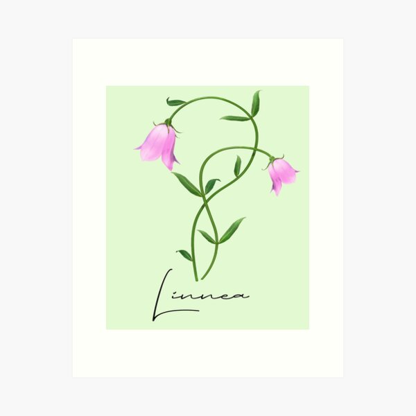 Vista previa del artículo con la obra «Flores nórdicas de flores silvestres de linnea Twinflower con flores florales», diseñado y vendido por funnytshirtemp.