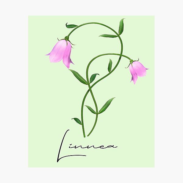 Item preview, Nordic Wildflower Linnea Twinflower Pretty Pink Flowers floral designed and sold by funnytshirtemp.