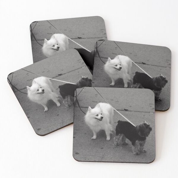 Item preview, Want biscuits designed and sold by saffervision.