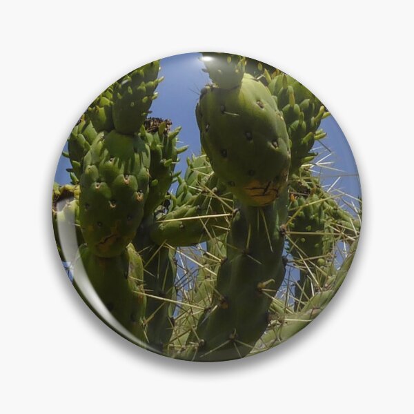 Item preview, Cacti designed and sold by Asni.