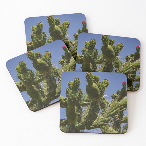 Item preview, Cacti designed and sold by Asni.