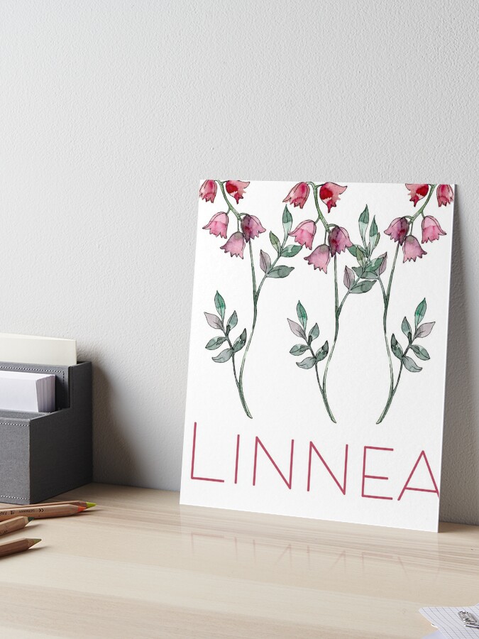 Floral Stickers – Linnea Design