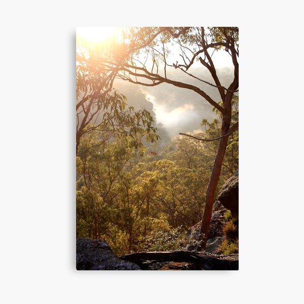 Item preview, Morning mist. designed and sold by Ian Ramsay.