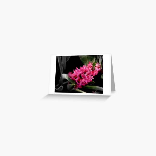 Touch of pink Greeting Card