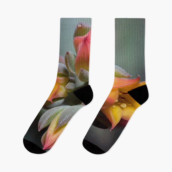 Item preview, Succulent Blossom designed and sold by Roger Porter Photography.