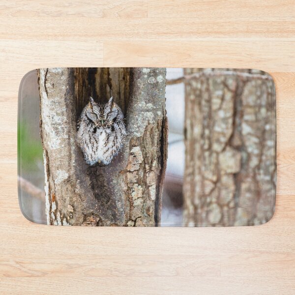 Item preview, Sleeping screech owl designed and sold by Roger Porter Photography.