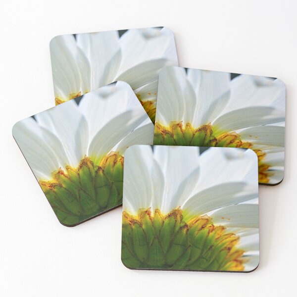 Item preview, Shasta Daisy Shines designed and sold by LisaWootenPhoto.