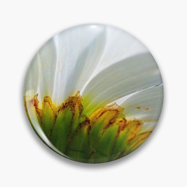 Item preview, Shasta Daisy Shines designed and sold by LisaWootenPhoto.
