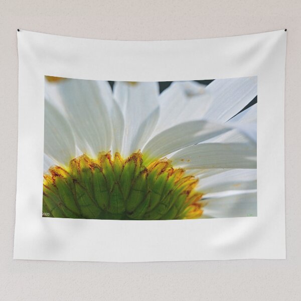 Item preview, Shasta Daisy Shines designed and sold by LisaWootenPhoto.