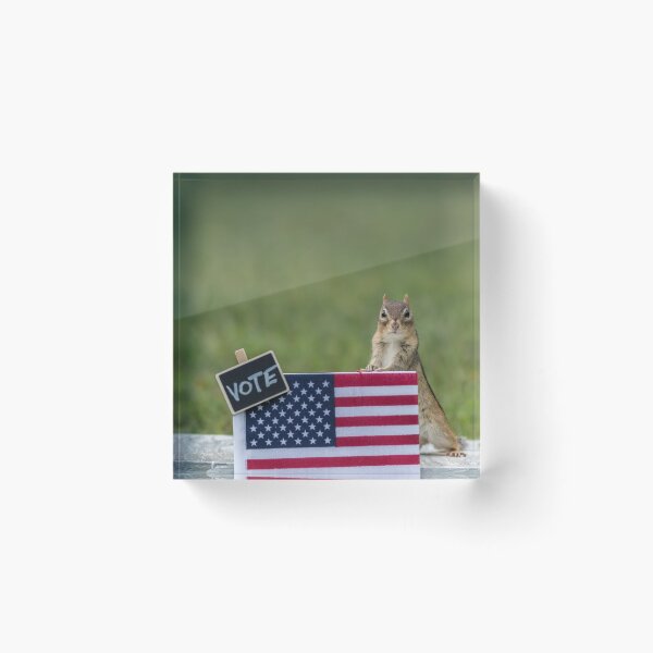 Item preview, Chipmunk VOTE booth election concept with USA flag peanuts for votes  designed and sold by Rabbitti.