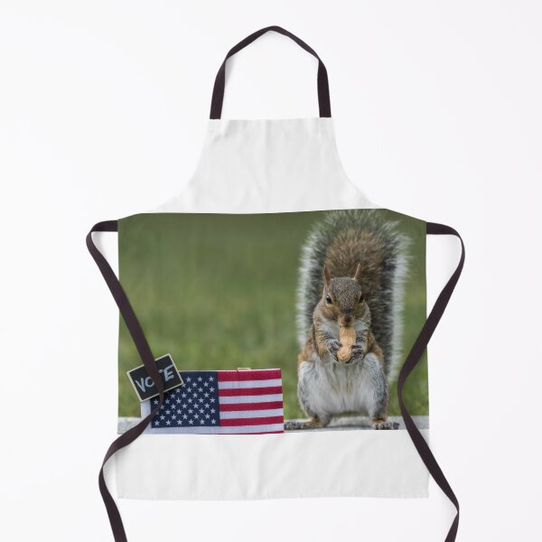 Item preview, Squirrel VOTE booth election concept with USA flag peanuts for votes copy space designed and sold by Rabbitti.
