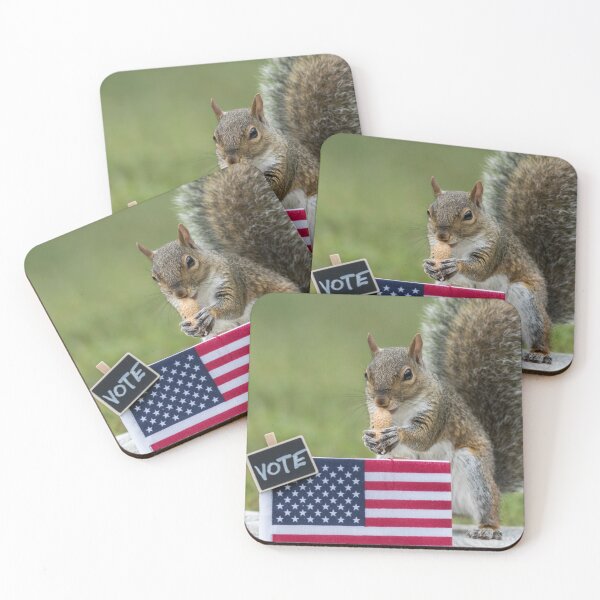 Item preview, Squirrel VOTE booth election concept with USA flag peanuts for votes  designed and sold by Rabbitti.