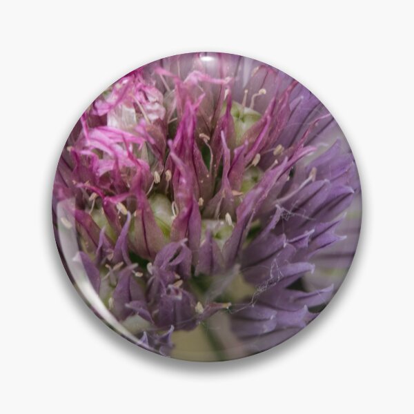Item preview, Flowering Chive. designed and sold by CanadianWild418.