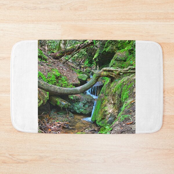 Item preview, On The Way To Brasstown Creek Falls designed and sold by LisaWootenPhoto.