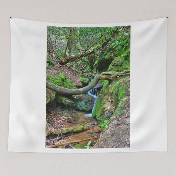 Item preview, On The Way To Brasstown Creek Falls designed and sold by LisaWootenPhoto.