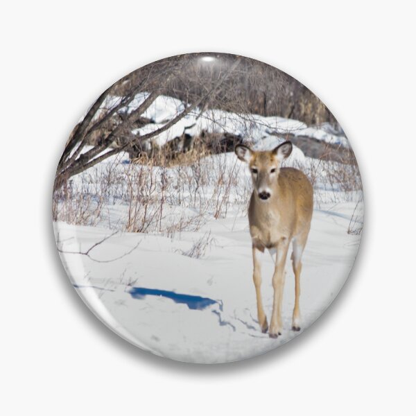 Item preview, White Tailed Deer. designed and sold by CanadianWild418.