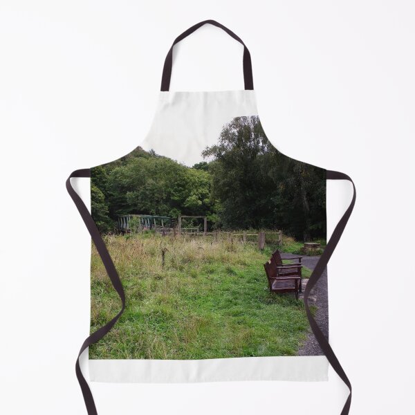 The Butterfly Bridge Apron
