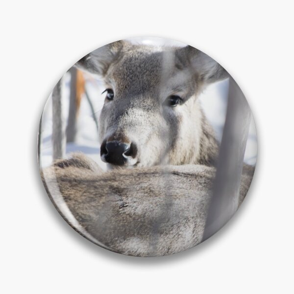 Item preview, White tailed deer. designed and sold by CanadianWild418.