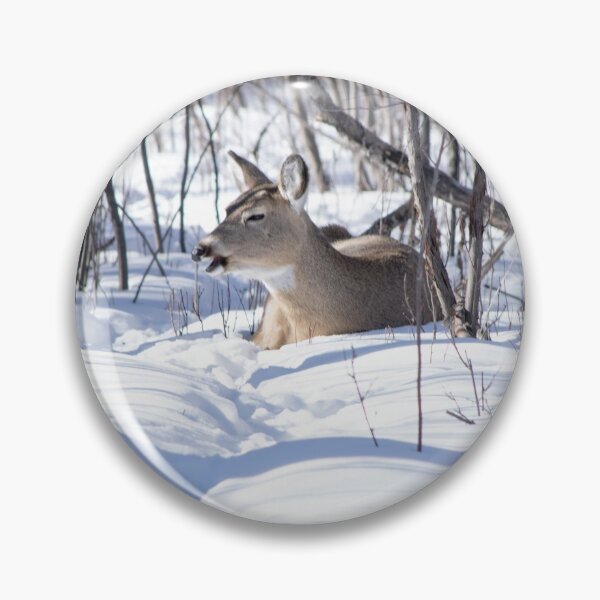 Item preview, Deer at rest. designed and sold by CanadianWild418.