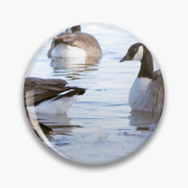 Item preview, Canada Geese enjoying a sunny day on the river. designed and sold by CanadianWild418.