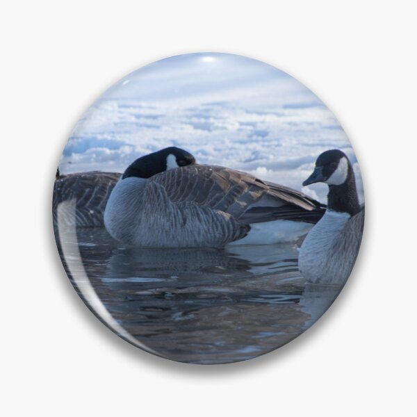 Item preview, Geese enjoying the sunny day. designed and sold by CanadianWild418.