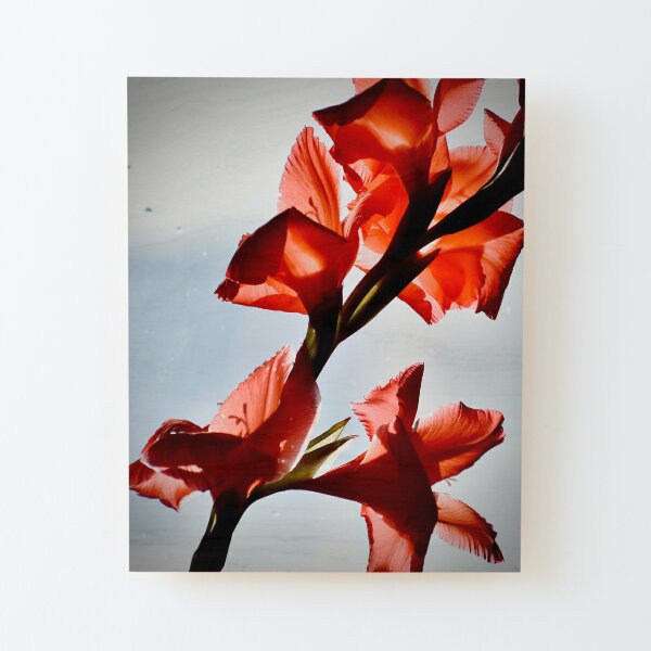 Decoración: Gladiolos Rojos | Redbubble