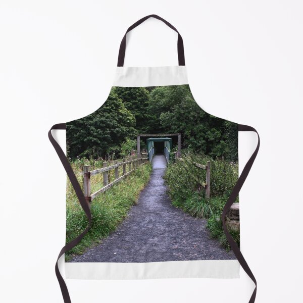 The Butterfly Bridge and Clockburn Ford - Study II Apron