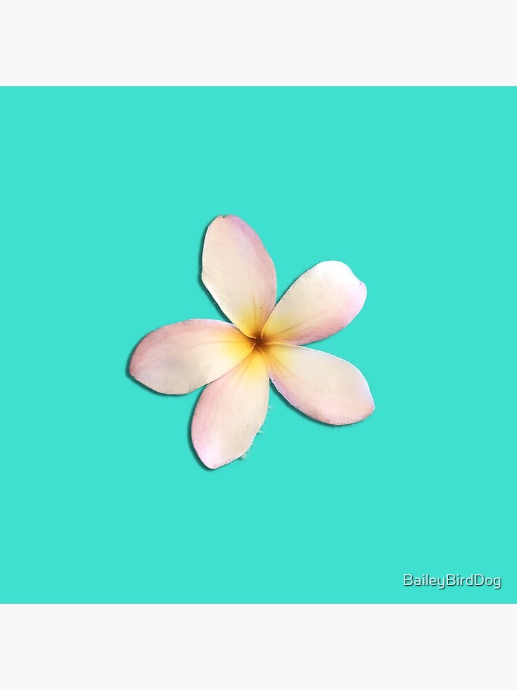 Plumeria Turquoise by BaileyBirdDog