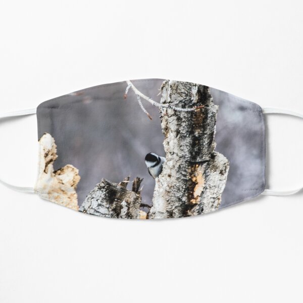 Chickadee Mask
