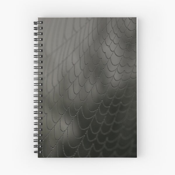 Item preview, Spider Webs designed and sold by FantasySkyArt.