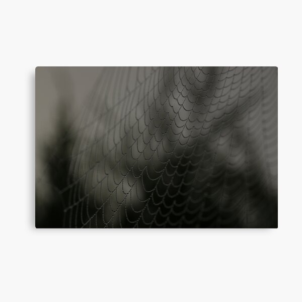 Item preview, Spider Webs designed and sold by FantasySkyArt.