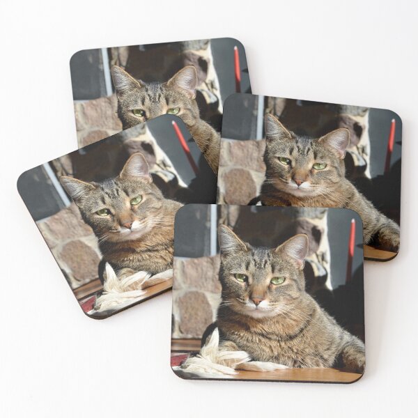 Item preview, Brown Tabby designed and sold by Lauren Galanty.