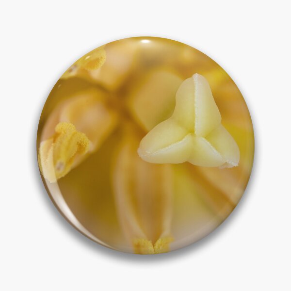 Item preview, Inside a tulip designed and sold by Roger Porter Photography.