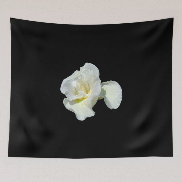 Item preview, White Siberian Iris on Black designed and sold by DianeLindonCoy.