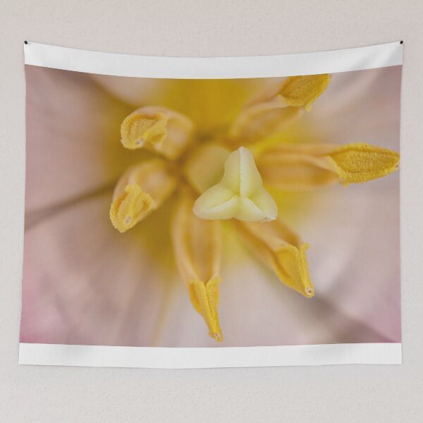 Item preview, Inside a tulip designed and sold by Roger Porter Photography.