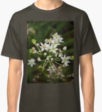 Garlic chive flowers Classic T-Shirt
