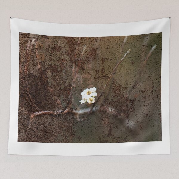 Item preview, Last Flower of fall designed and sold by Roger Porter Photography.