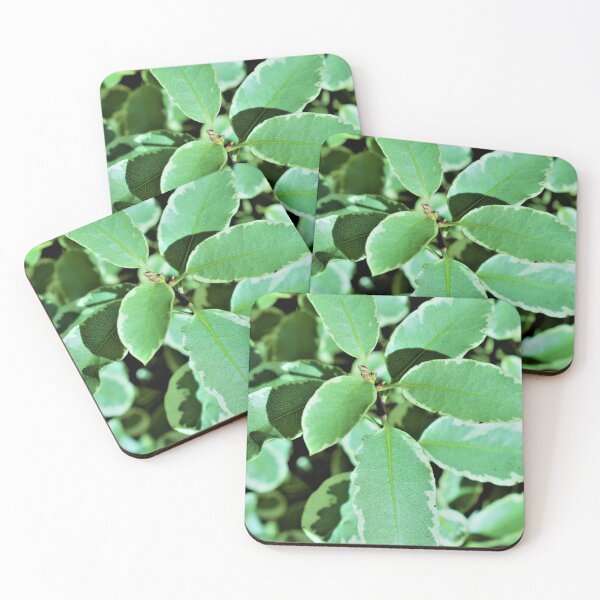 Item preview, Variegated Leaves designed and sold by APrettyView.