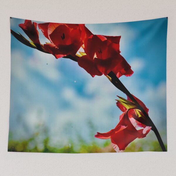 Item preview, Red gladdie rampant on blue sky designed and sold by keithmilligan.