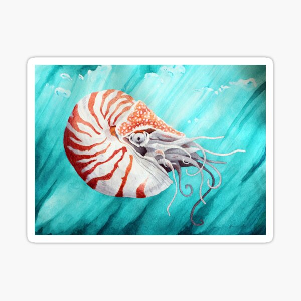 Nautilus Sticker