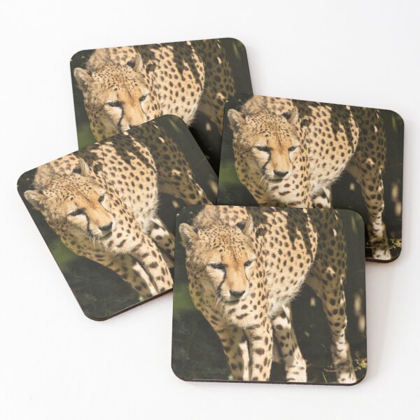 Item preview, Cheetah designed and sold by Derren Jones.