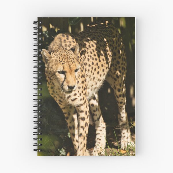 Item preview, leopardo designed and sold by Derren Jones.