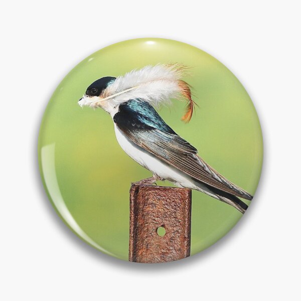 Item preview, Bringing  A Feather Home designed and sold by BRENDA DOHERTY.