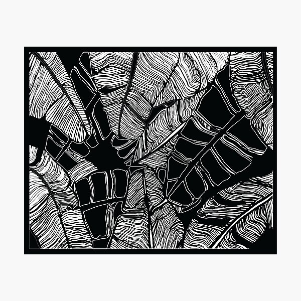 Modern Black and White Palm Leaf Print Photographic Print