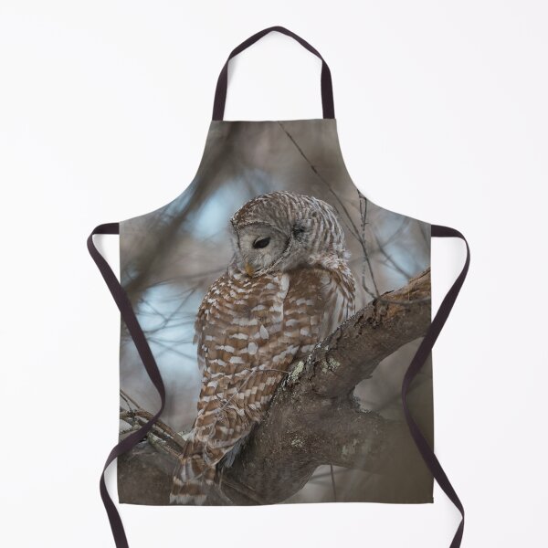 Item preview, Sleepy owl designed and sold by Roger Porter Photography.
