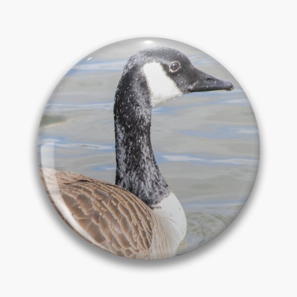 Item preview, Canada Geese on the pond designed and sold by CanadianWild418.